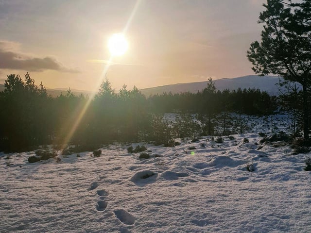 Angus McMitchell perfectly captures the low Scottish winter sun in this picture.