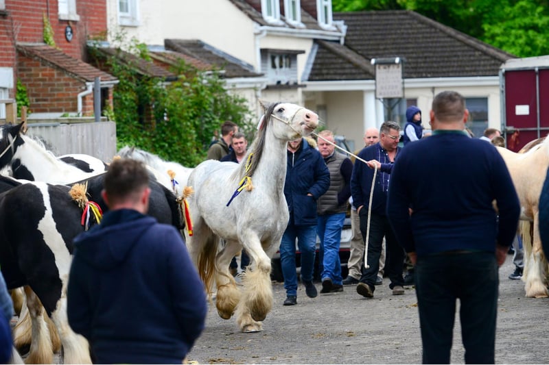 A large crowd gathered in Wickham today despite the cancellation of the horse fair. Picture: Roger Arbon/Solent News & Photo Agency