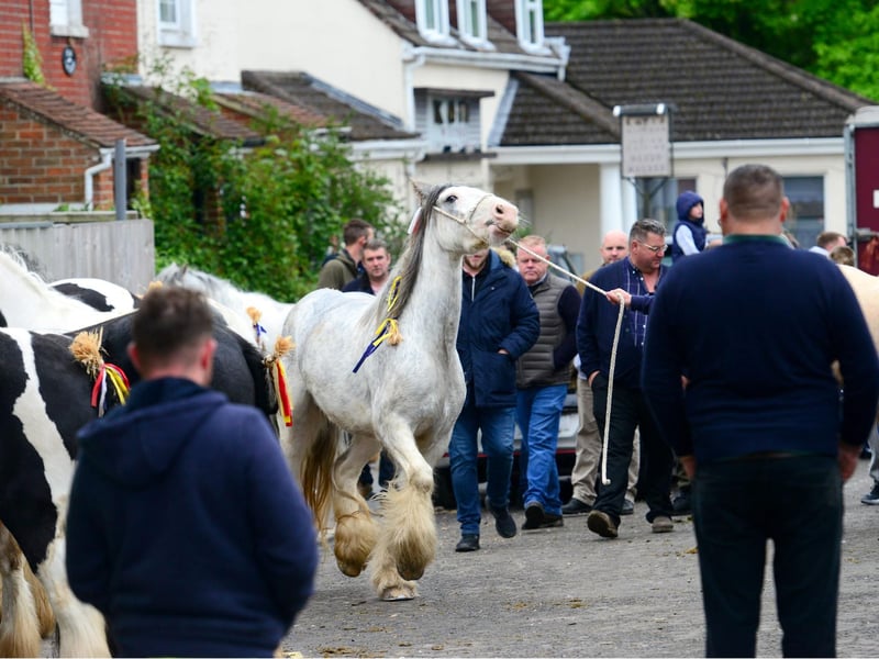 A large crowd gathered in Wickham today despite the cancellation of the horse fair. Picture: Roger Arbon/Solent News & Photo Agency