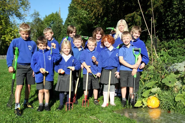 Members of the Bonsall Primary School Garden Club on their allotment in 2010.