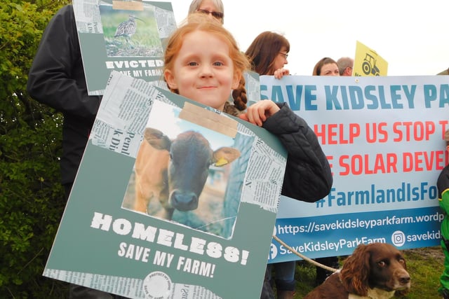Summer Goodwin, aged five, who is also campaigning against the solar farms.