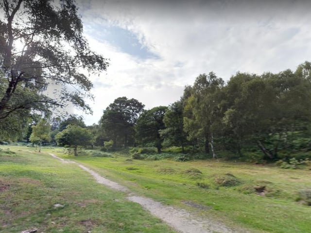 There are many trails to enjoy around Sherwood Forest.