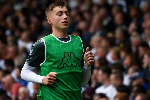 A player who was linked with Boro in January but instead joined QPR on loan. Despite his potential it seems unlikely the 19-year-old wideman will break into Spurs' first team this season so another loan move may suit him.