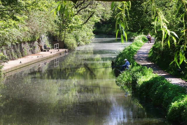 Many fishing clubs and associations operate along Chesterfield canal. 
Day permits can be purchased from the Tapton Lock visitor centre.