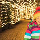 Luminate Hardwick is a magical light trail offering fun for all the family.