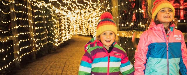 Luminate Hardwick is a magical light trail offering fun for all the family.