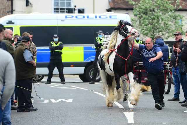 A large crowd turned up for the Wickham Horse Fair today despite it being cancelled. Picture: Roger Arbon/Solent News & Photo Agency