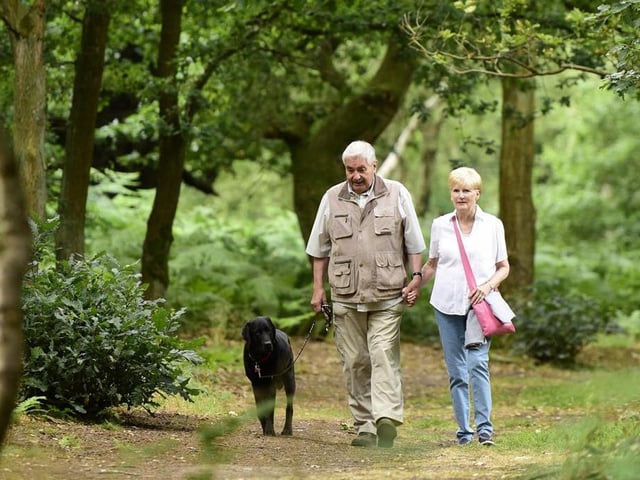 Sherwood Forest, at the heart of Chad Land, is a landmark thousands of years in the making. Alive with nature, history and folklore, all begging to be explored. So whether it's walking your dog, taking a family bike-ride or learning about Robin Hood, it's never a bad idea to remind yourself of what's on your doorstep.