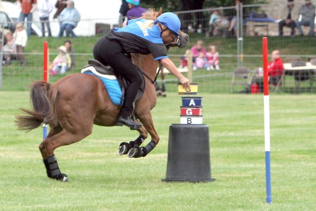 Horse games at Chatsworth Country Fair in 2007.