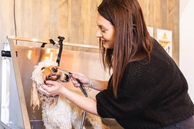 Bike & Boot's new dog-friendly Peak District hotel near Bamford, not far from Sheffield, is due to open in May 2023. It will include a free professional dog grooming area
