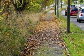 A local councillor has appealed to the council to clean Chesterfield Road and urged cyclists to ‘take care’ due to dangers caused by 'slippery' leaves