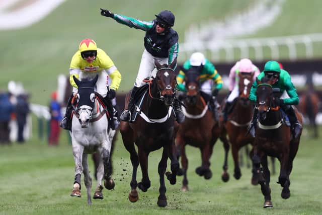 Jockey Nico De Boinville salutes the crowd after Altior's victory in the Betway Queen Mother Champion Chase last year. (PHOTO BY: Michael Steele/Getty Images)