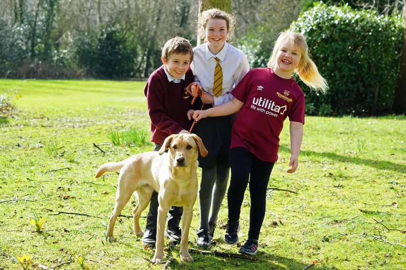Arthur is more than just a furry friend - he is an essential part of the school’s wellbeing initiatives. Research shows that interaction with dogs can reduce stress levels and increase happiness - and headteacher Stacey Carr explained that Arthur provides comfort, companionship and unconditional love to the pupils.