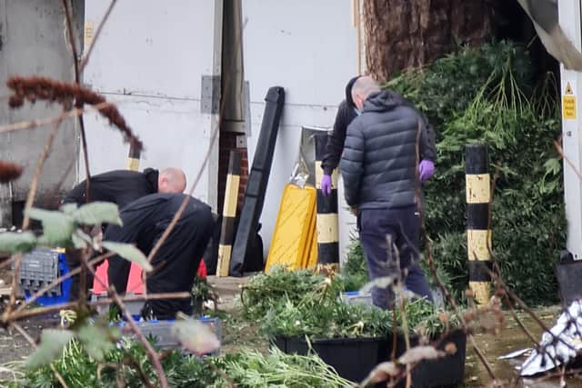Polcie at the unit where the plants were found.