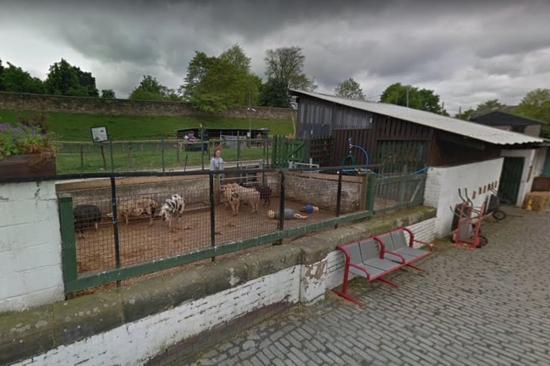 An urban farm in the heart of Edinburgh with free entry (although donations are welcome), this is a perfect place to take children who will love meeting all the animals, from goats and alpacas to chickens and ferrets.