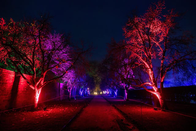 Get ready for a spectacular, illuminated trail, full of wonder and intrigue, to delight and enthral your senses.