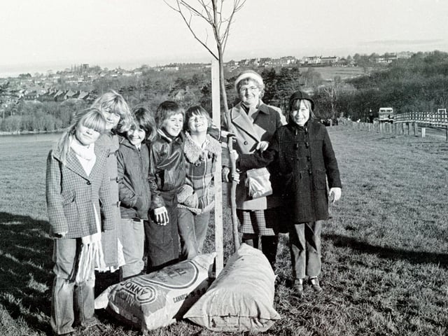 Tree planting at Shipley park, December 1981.