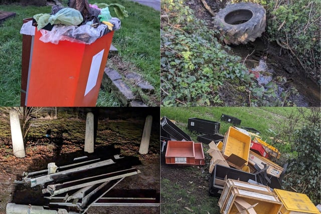 Dog mess, fly-tipping and "bad parking"