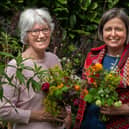Gill Hodgson (left) and Carole Patilla (right), are co-founders of The Farewell Flowers Directory