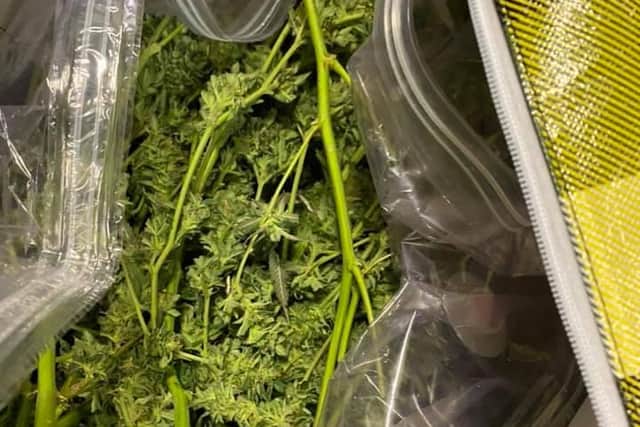 Police found laundry bags filled with cannabis after they stopped a 'suspicious' vehicle in North Wingfield on January 27.