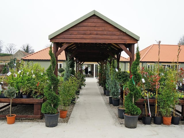 Glapwell Nurseries has a 4.6/5 rating based on 768 Google reviews.