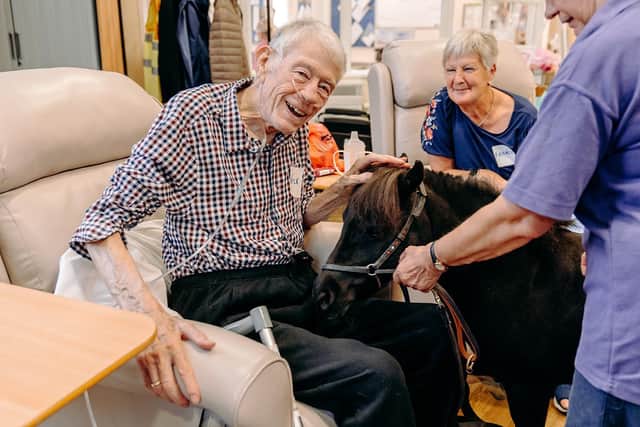 Wish the therapy pony brings joy to patients and visitors in Ashgate Hospice's inpatient ward
