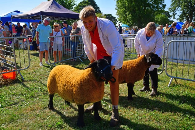 Checking over colourful contenders in the sheep show.