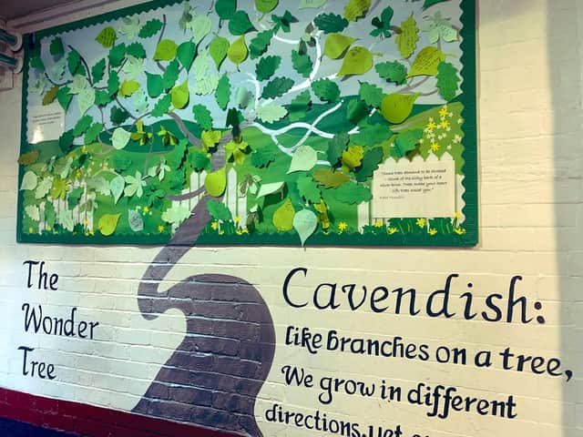 The new 'Wonder Tree' at Cavendish Junior School