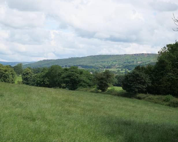 Lloyds Banking Group's funding breathes new life into Peak District's iconic landscape with wetland restoration efforts.