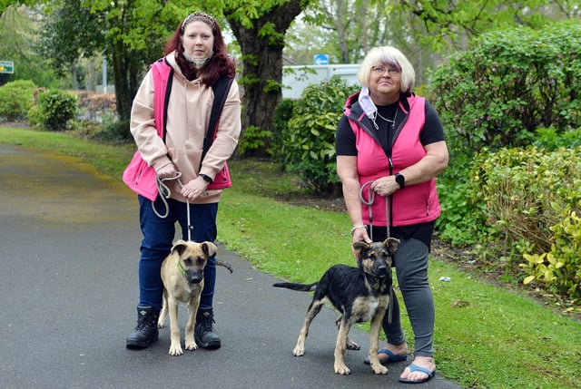 Chesterfield Animal Rescue has just received charity status. Trustees Rachel Bradley and Tinal Varley with two rescue dogs.