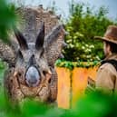 Meet the dinosaurs at Raptor Ranch at the National Forest Adventure this half term