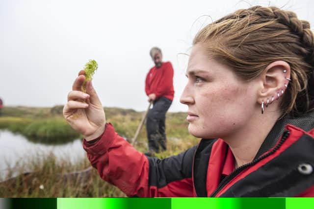 A volunteer takes a closer look at moss found on a restored peat bog on the Kinder plateau (photo: National Trust Images/Paul Harris).