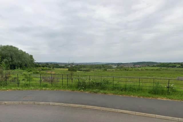 Trees and shrubs in the Avenue Country Park floodplain area will be felled in a bid to reduce the impact of the floods in the future. (Photo: Google)