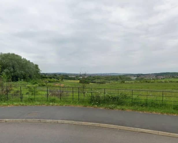 Trees and shrubs in the Avenue Country Park floodplain area will be felled in a bid to reduce the impact of the floods in the future. (Photo: Google)