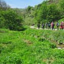 Discover more about the Peak District on a guided walk with a National Park ranger