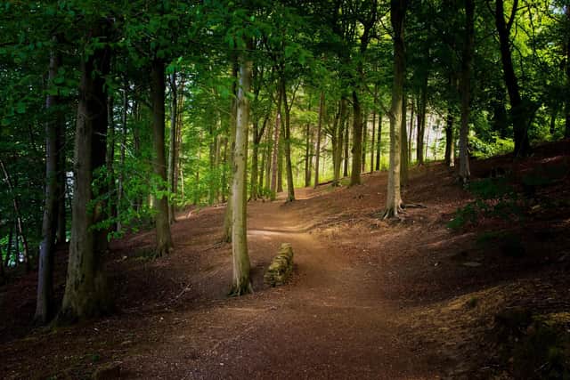 The planned Heartwood Community Forest cover and area totalling 750 square kilometres in which 77 per cent of Derbyshire’s total population lives.