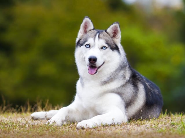 46,480 searches on average per month (Photo: Shutterstock)