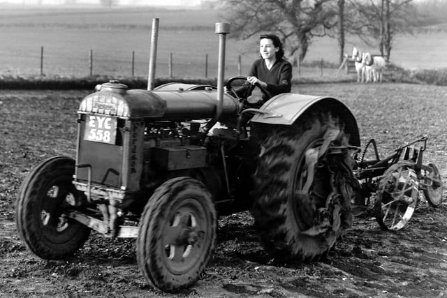 Hayling Island war women. Landgirl driving a tractor.