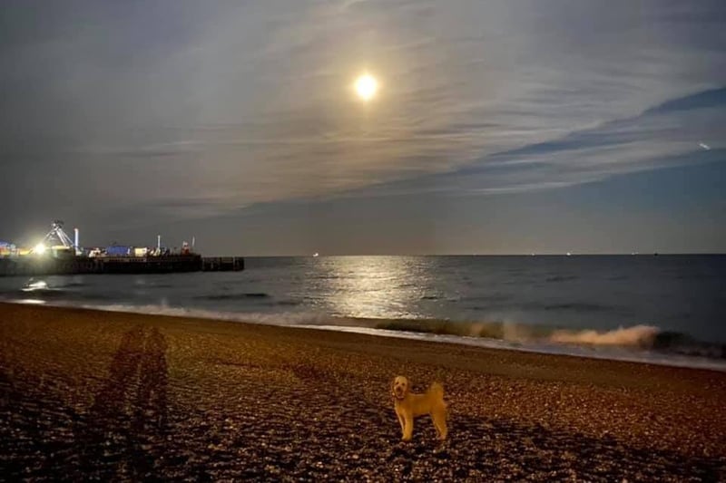Portsmouth Super Pink Moon: Yvonne Mutton caught it beaming over Southsea beach