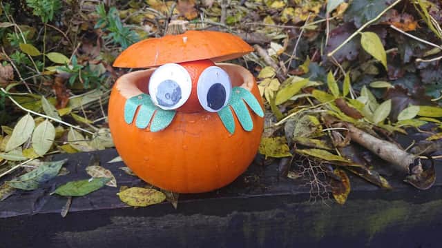 Bert the pumpkin.