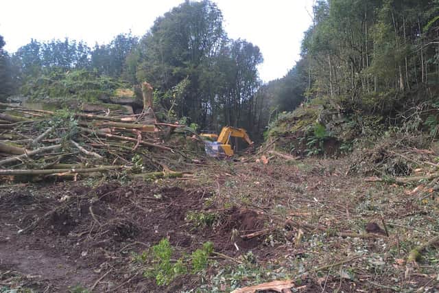 Residents fear the diggers may be clearing the way for future commercial development of the land. (Photo: Contributed)