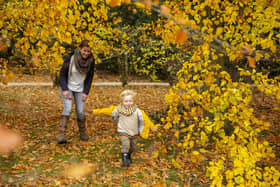 Enjoy a family day out on the Hardwick estate this autumn (photo: National Trust Images/Chris Lacey)