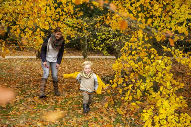 Enjoy a family day out on the Hardwick estate this autumn (photo: National Trust Images/Chris Lacey)