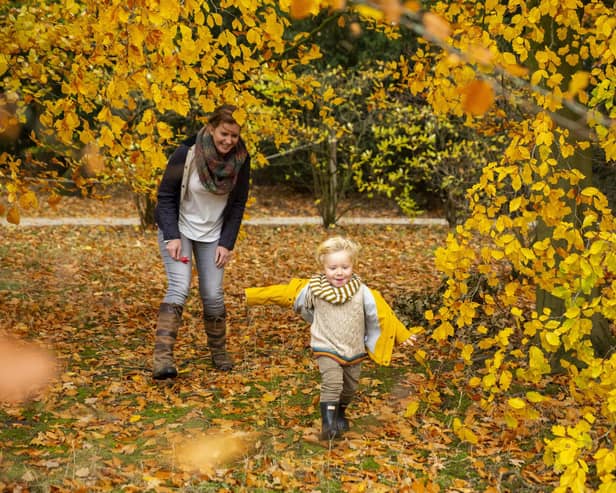 Enjoy a family day out on the Hardwick estate this autumn (photo: National Trust Images/Chris Lacey)