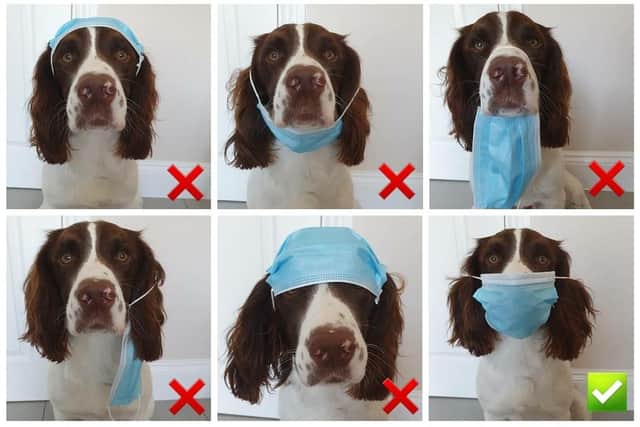 Oakley shows the correct way to wear a face mask in an Instagram post which has gained international attention.
