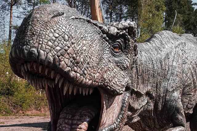 Life-size animatronic dinosaurs are set to 'roam' the natural landscape of Thoresby Park.