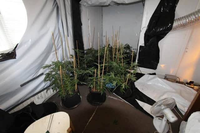 Cannabis grow found in Broxtowe drugs swoop.