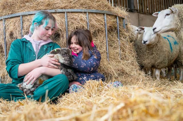 Pet a lamb on Lambing Sunday at Derby Colleges Broomfield Hall site at Morley, near Ilkeston on March 24, 2024.