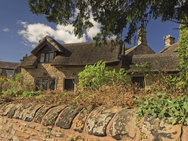 Find out about the history of herbal medicine in a Healing Herbs workshop at Revolution House, Chesterfield, on August 29, from 11am to 4pm. For just £2 you can make your own healing salve to take away with you.