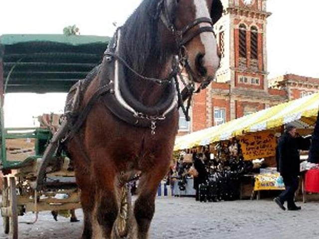 The market horse was once popular with families visiting Chesterfield town centre.